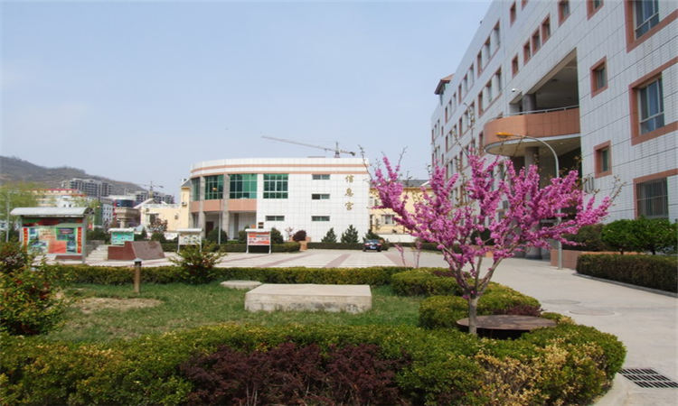 桃江县第四中学